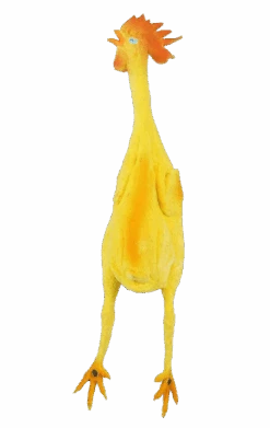 Rubber Chicken Joke Accessory