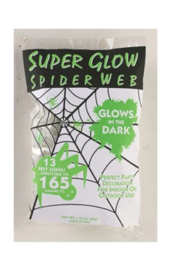 Palmer Super Glow Spider Web Decoration