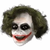 Adult The Joker Facepiece With Hair Accessory 1 Adult The Joker Facepiece With Hair Accessory -Palmer Sales 00002189p