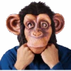 Palmer Comical Chimp Facepiece -Palmer Sales 00002541p
