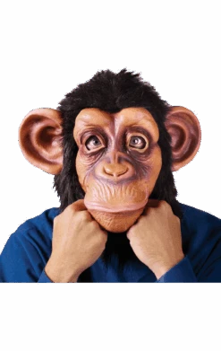 Palmer Comical Chimp Facepiece