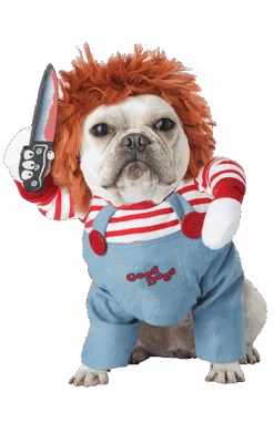 Chucky Dog Costume