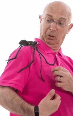 Smiffys Large Spider Decoration