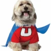 GENERIC Underdog Superhero Dog Costume