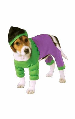 Incredible Hulk Dog Costume