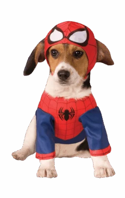 Spider-Man Dog Costume