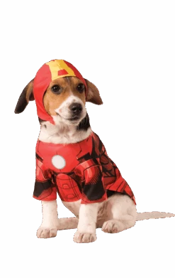 Iron Man Dog Costume