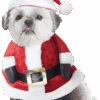 Santa Paws Christmas Dog Costume