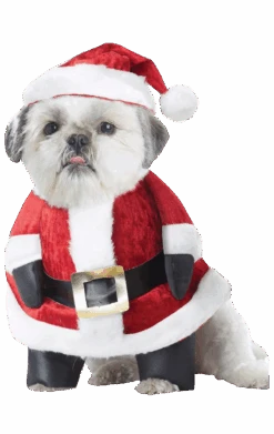 Santa Paws Christmas Dog Costume