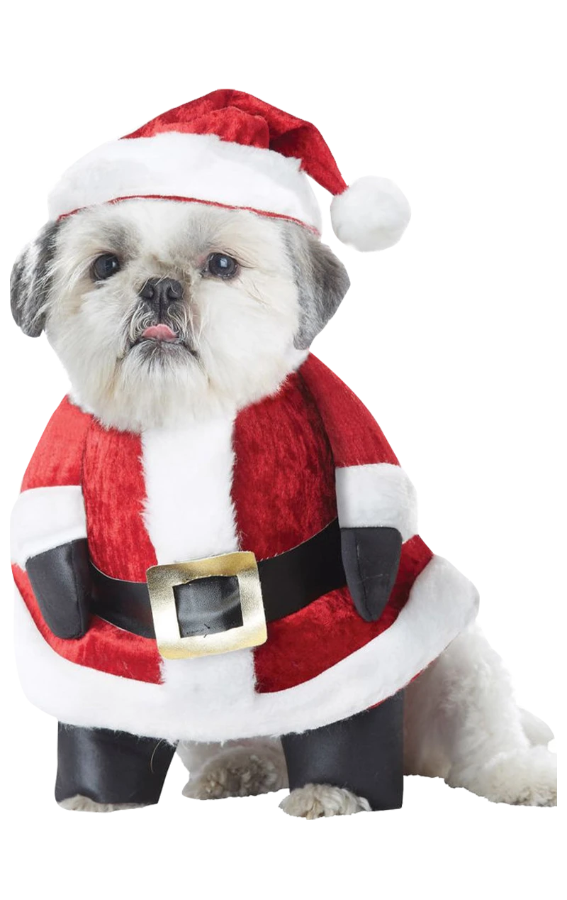Santa Paws Christmas Dog Costume 3 Santa Paws Christmas Dog Costume