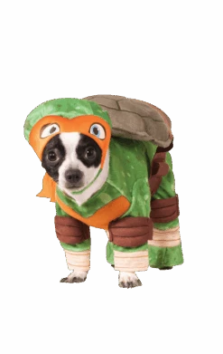 Michelangelo Ninja Turtles Dog Costume