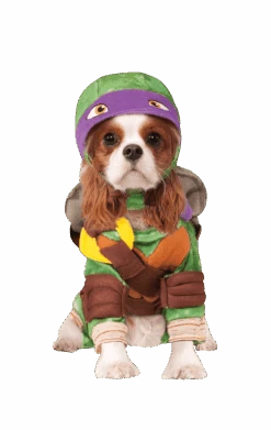 Ninja Turtles Donatello Dog Costume
