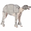 Star Wars At-At Dog Costume 2 Star Wars At-At Dog Costume -Palmer Sales 00004241p