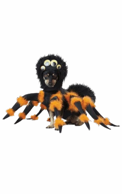 Spider Dog Costume