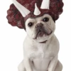 Tricerdog Dog Costume -Palmer Sales 00004290p