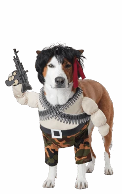 Ram-Bone Dog Costume