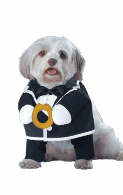 Puppy Groom Dog Costume
