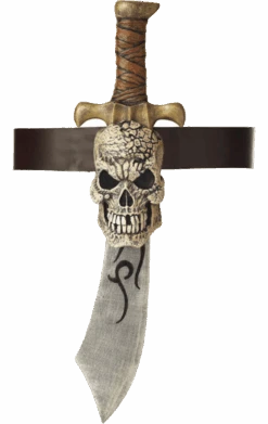 Pirate Sword With Skull Sheath
