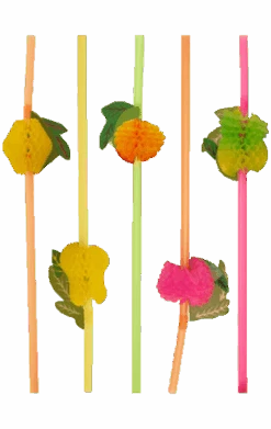 GENERIC Fruit Straws Pack