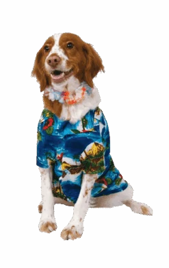 Howliday Hawaiian Dog Costume