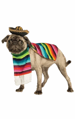 Mexi-canine Dog Costume