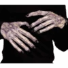 Palmer Adult Ghoul Halloween Hands -Palmer Sales 00004900p