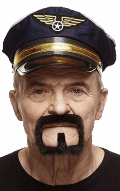 GENERIC Black Goatee Beard