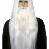 Wizard Wig And Beard -Palmer Sales 00005034p
