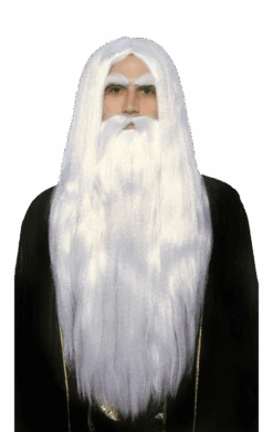 Wizard Wig And Beard