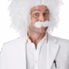 Einstein Wig And Moustache Accessory -Palmer Sales 00005111p