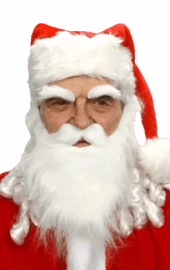 Santa White Beard And Eyebrows Set