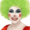 Unisex Green Clown Afro Wig -Palmer Sales 00005151p