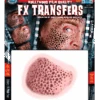 Trypophobia 3D Transfers Medium -Palmer Sales 00008288p