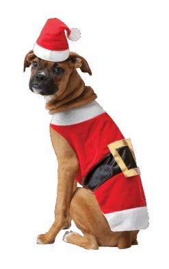 Santa Claws Christmas Dog Costume