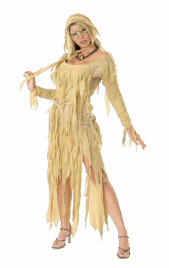 Womens Halloween Mummy Queen Costume