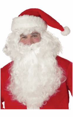 Adult Fine Curl Santa Wig And Beard Accessory Set
