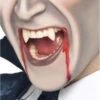 Smiffys Adult Transylvanian Vampire Fangs Accessory 2 Smiffys Adult Transylvanian Vampire Fangs Accessory -Palmer Sales 00010668p