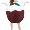 Adult Christmas Pudding Costume -Palmer Sales 00011497p