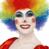 Rainbow Economy Clown Wig -Palmer Sales 00011515p