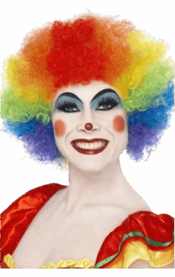 Rainbow Economy Clown Wig