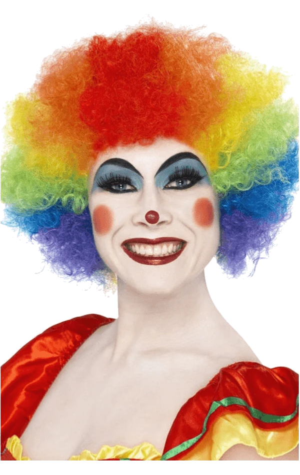 Rainbow Economy Clown Wig 3 Rainbow Economy Clown Wig
