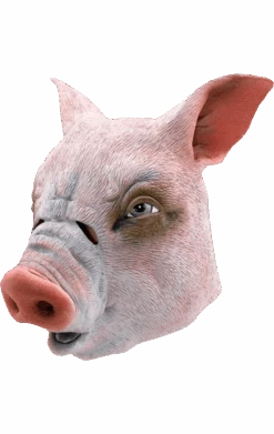 Pig Facepiece