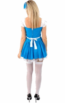 Adult Storybook Alice In Wonderland Costume -Palmer Sales 00012952a02