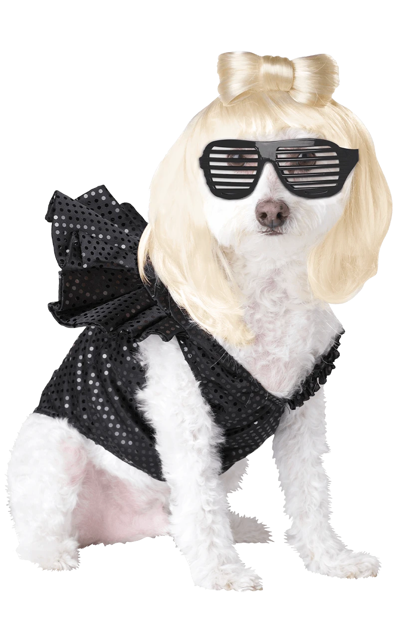 Lady Dogga Dog Costume 3 Lady Dogga Dog Costume