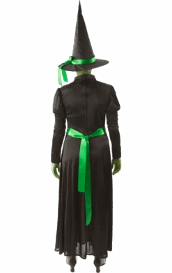 Adult Wicked Witch Halloween Costume -Palmer Sales 00015570a02