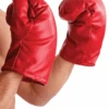 Boxing Gloves -Palmer Sales 00015908p