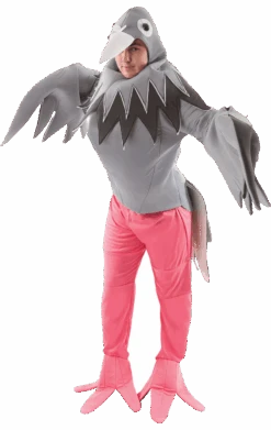 Adult Giant Pigeon Costume