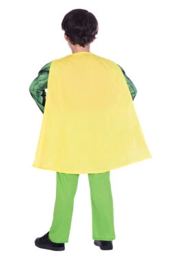 GENERIC Childrens Classic Robin Costume -Palmer Sales 00030436a02
