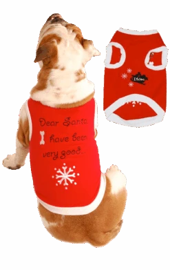 Dear Santa Dog Costume