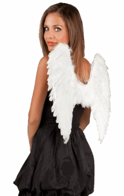 Boland White Angel Wings 50x50cm